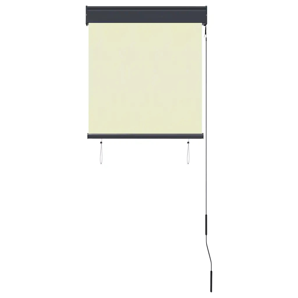 Tenda a Rullo per Esterni 60x250 cm Crema 145947