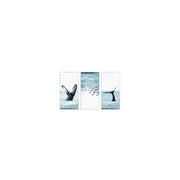 Set di 6 Stampe Su Tela Wide Sea Con Cornice In Mdf 40x60