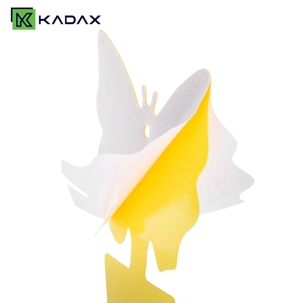 KADAX Lep na owady 50szt P25564 K16218