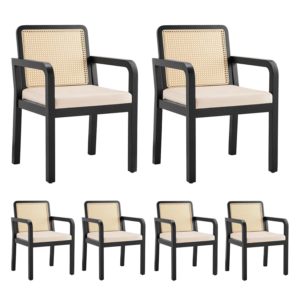 Sedia da pranzo in velluto - Xylo - 6 pezzi, schienale in rattan, piedi in legno