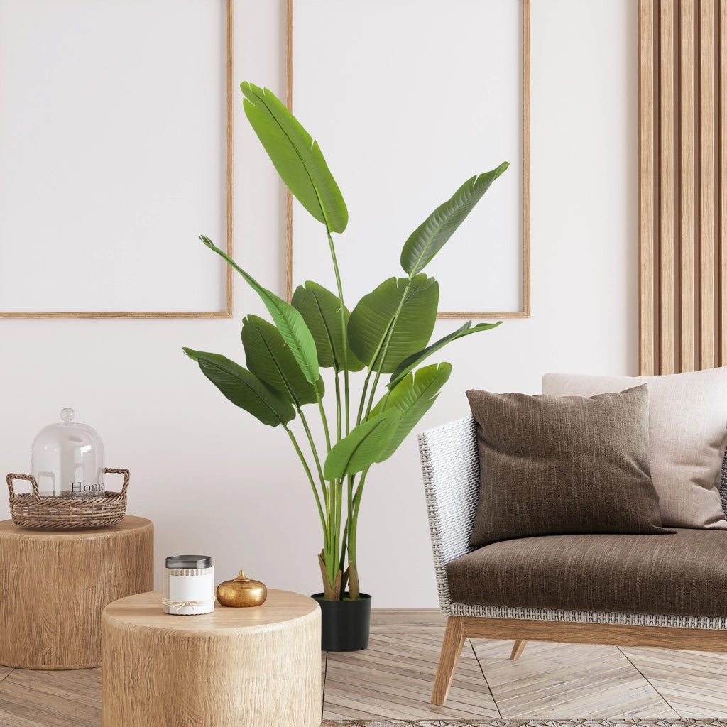 Planta Artificiale Strelitzia ¨C zephmum ¨C Verde 160 cm