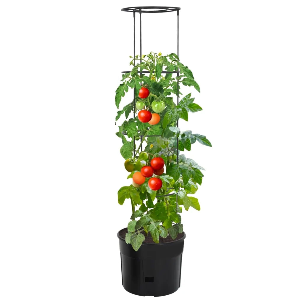 Vaso a Torre per Pomodori Antracite Ã˜39x150 cm Polipropilene