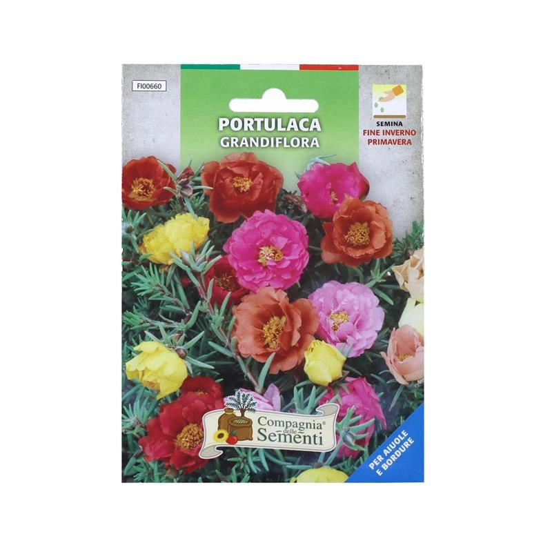BUSTA DI SEMENTI FIORI PORTULACA GRANDIFLORA SEMINA FINE INVERNO/PRIMAVERA BUSTINA INTERNA SALVA SEME