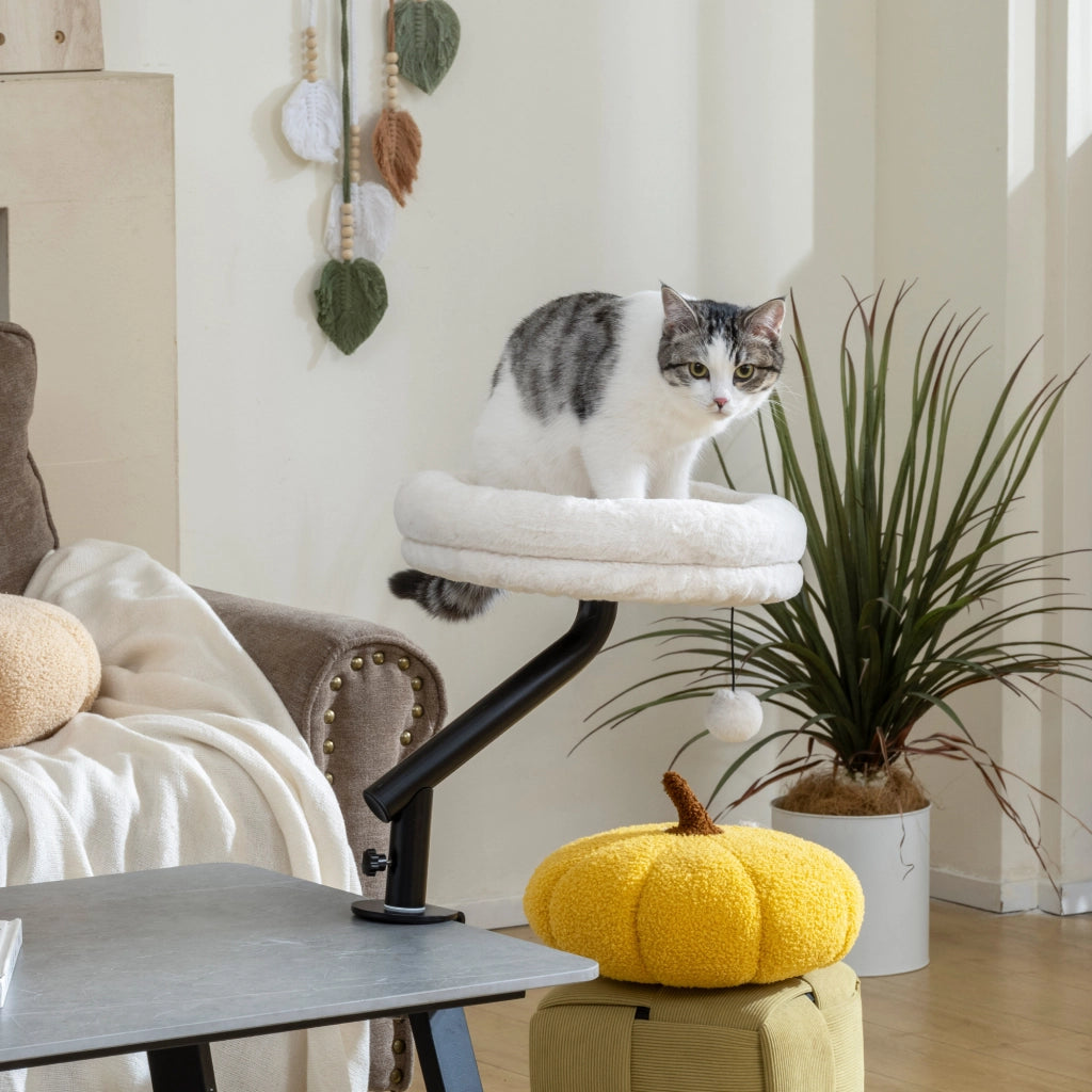Letto per gatti da scrivania regolabile in altezza con rotazione 360¡ã ¨C zephmum ¨C crema