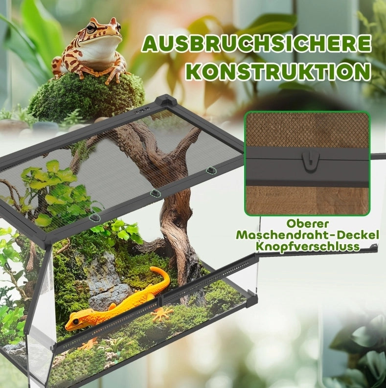 Terrario in vetro 50x30x35 cm con base impermeabile