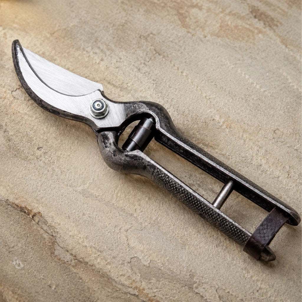 Ausonia forbice da vigna professionale 25 cm in acciaio forgiato e temprato