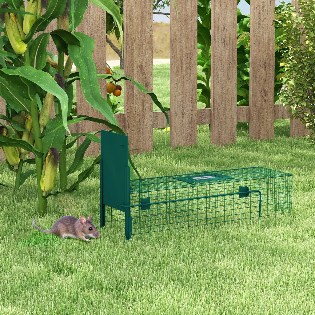 Gabbia Trappola per Animali Piccoli ¨C Zephmum ¨C 80x25x30 cm Verde Scuro