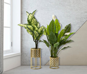 Set 2 Portavasi Ø21x40-19x22 cm in Metallo Oro