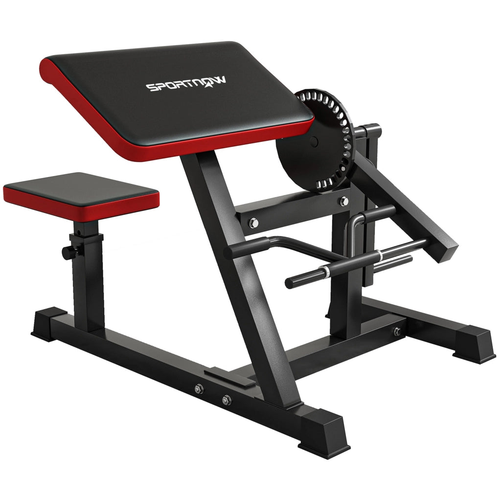 Panca Romana 2 in 1 per Curl e Tricipiti con Sedile a 5 Livelli e 25 Regolazioni, Nero
