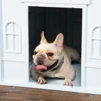 Cuccia per Cani di Taglia Media e Piccola max 20kg in PP Impermeabile, 65x75.7x63 cm, Blu