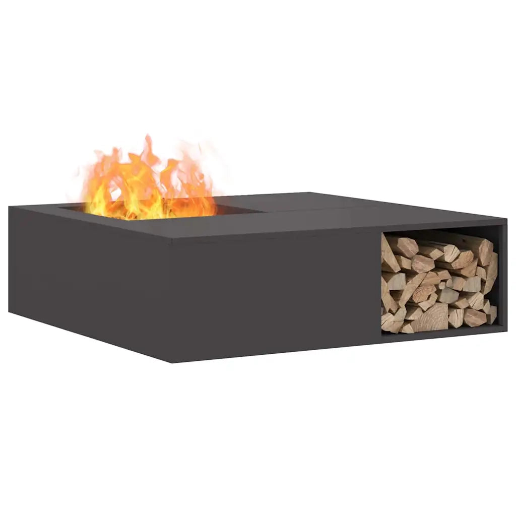 Focolare Nero 100 x 100 x 30 cm Acciaio CFW5935091