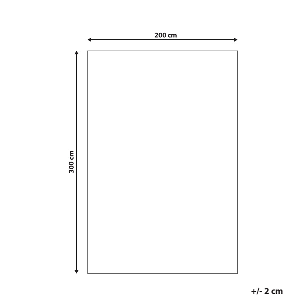 Tappeto Beige in lana Forma rettangolare Motivo geometrico 200 x 300 cm Stile moderno Soggiorno