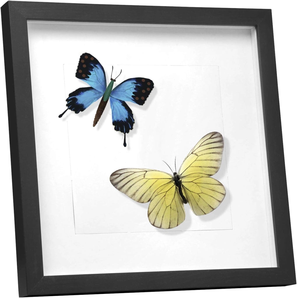 Set di 5 Cornice 3D per Foto da Muro Cornici 40x40cm per Oggetti Fino a 1,5cm, Cornici Fotografiche Multiple da Tavolo Portafoto Sospeso in Legno Passepartout Incluso, Nero