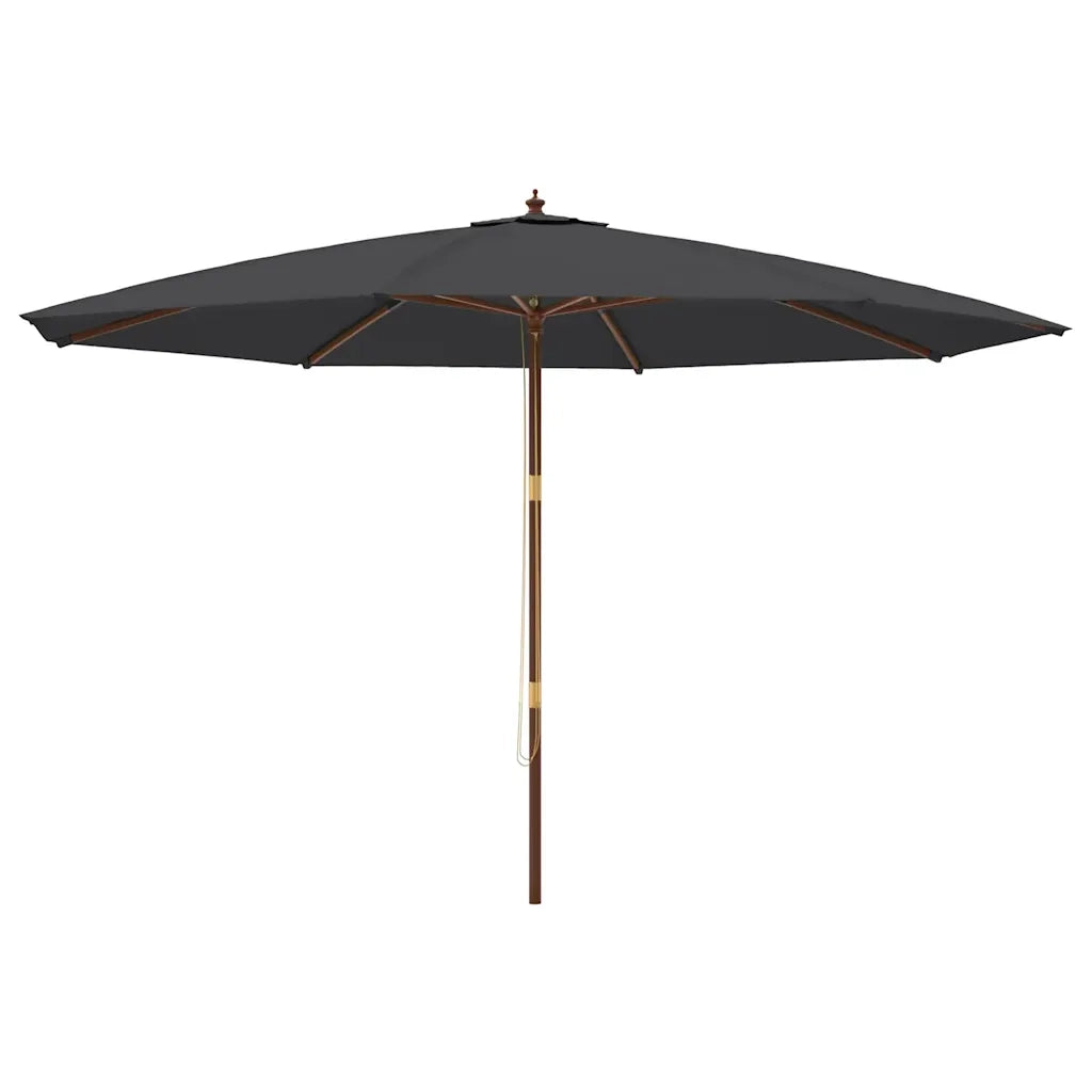 Ombrello | Parasolne da Giardino con Palo in Legno Nero 400x273 cm