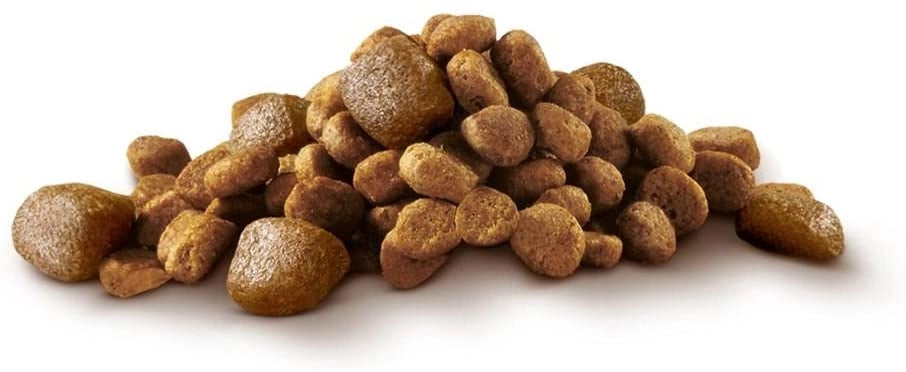 PURINA ONE MINI ACTIVE CROCCHETTE PER CANI TAGLIA SMALL CON POLLO E RISO 1,5 KG