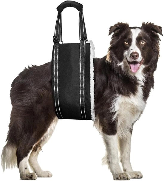Porta cani trasportabile - Aiuto al trasporto per cani - Sostegno per cani - Harnes per cani - Materiale 600D Oxford - Adatto per cani piccoli/medi - Harnes per cani