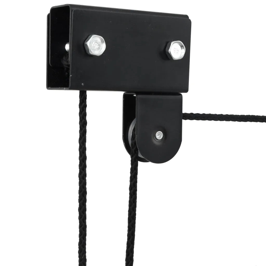 Sollevatore per Bici con Supporto a Soffitto 57 kg 156338