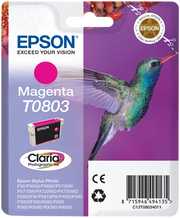Epson Hummingbird Cartuccia Magenta