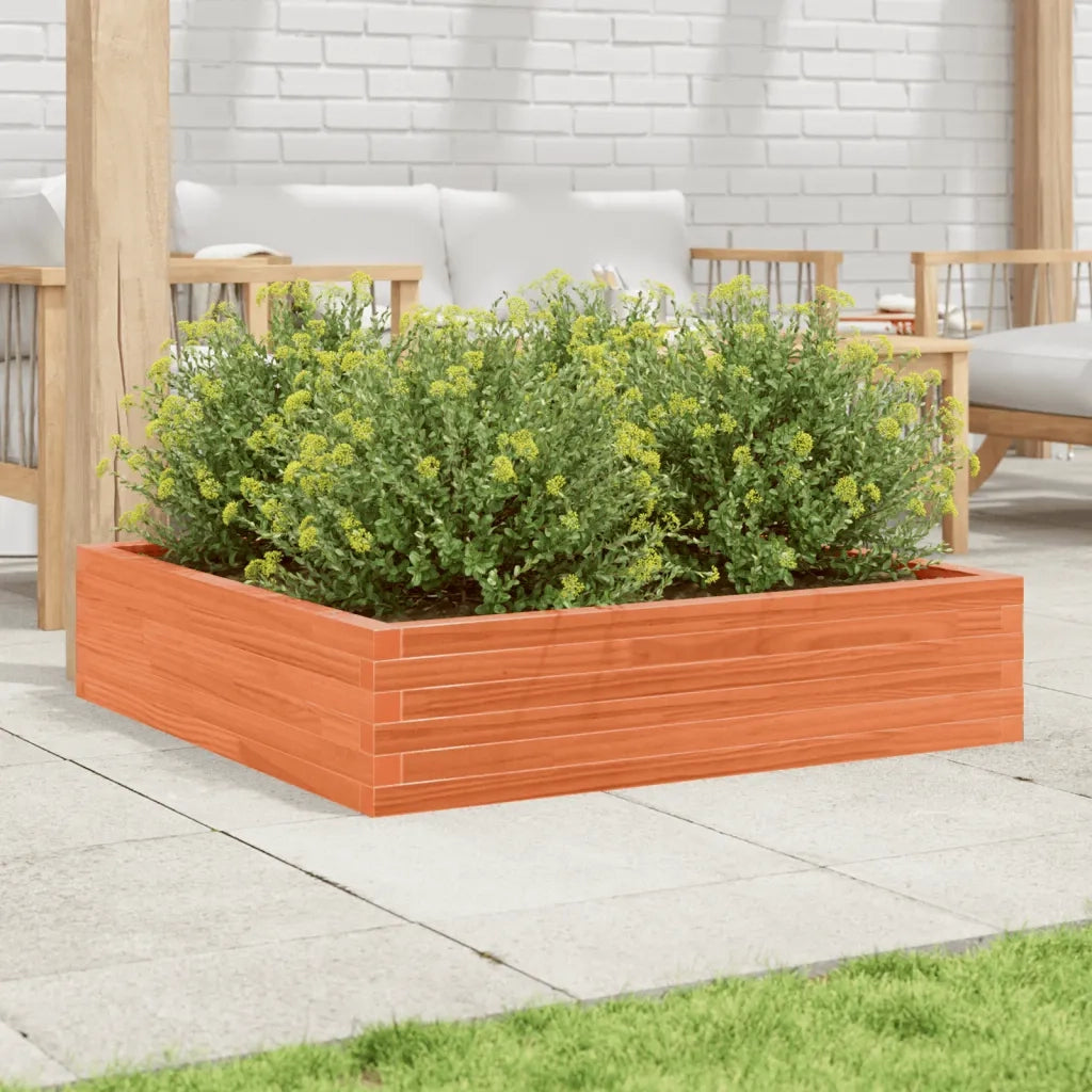 Fioriera | Cassetta per fiori | Vaso Giardino Marrone Cera 100x100x23 Legno Massello Pino