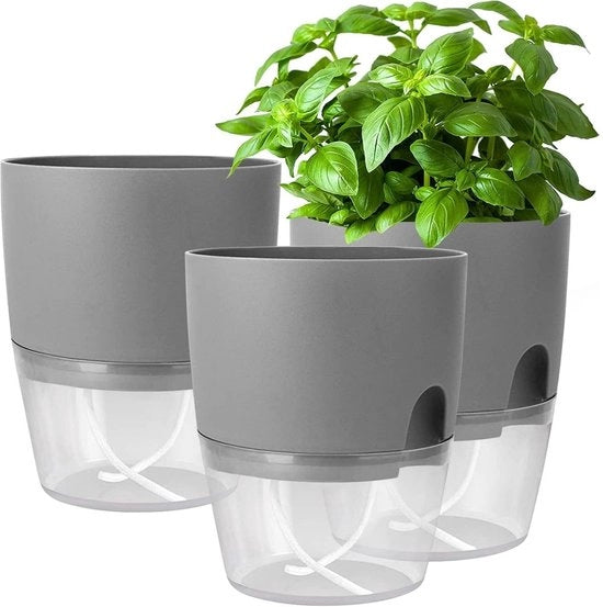 Set autoscatolente per erbe da cucina - vassoio per erbe in vetrina - set da 3 - 182 x 11 x 153 mm - vaso grigio per erbe fresche