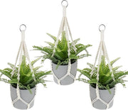 Macrama pianta - 3 pezzi - appeso - boho - filo di cotone - interni esterni giardino balcone terrazza finestra - 50 cm