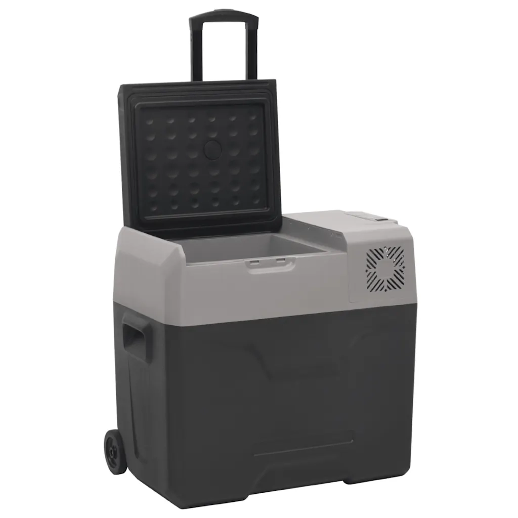 Borsa Frigo con Manico e Ruote Nera e Grigia 40 L Polipropilene CFW7809126