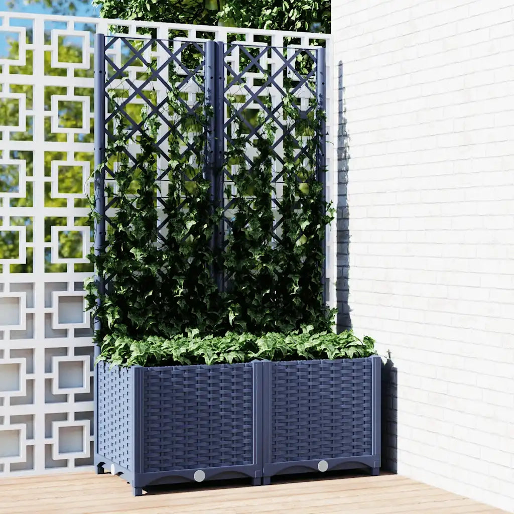Fioriera | Cassetta per fiori | Vaso da giardino con traliccio blu grigio 80x40x136 cm PP