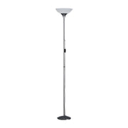 PIANTANA DEZWO ALLUMINIO ACRY E27 H 180 CM