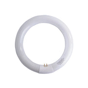 Lampada Fluorescente T9 W40 Circolare Airam