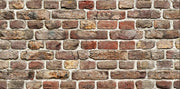 PANNELLO DECORATIVO CM 50X100 Disegno BRICK PEZZI: 15