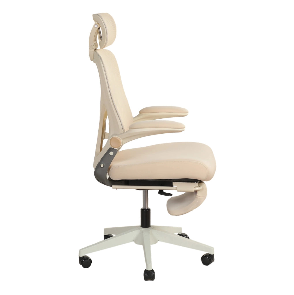 Sedia da Ufficio Ergonomica in Schiuma; Pieghevole con Supporto Lombare; Crema; per Studio