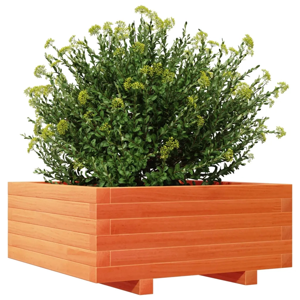 Fioriera Giardino Marrone Cera 60x60x26,5cm Legno Massello Pino 847300
