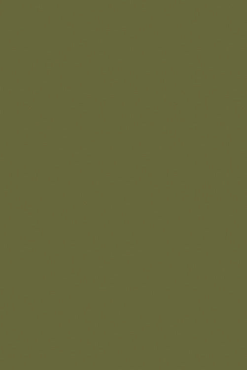PLASTICA ADESIVA VERDE OLIVA OPACO DC FIX MINI 45X200