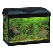 Amtra Basic LED 60 Nero - Acquario con filtro e illuminazione 55L cm60×30×42h