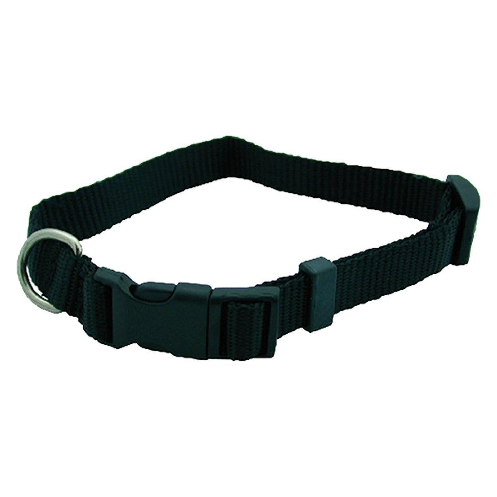 COLLARE PER CANE mm 25 x cm 60- 6 pezzi