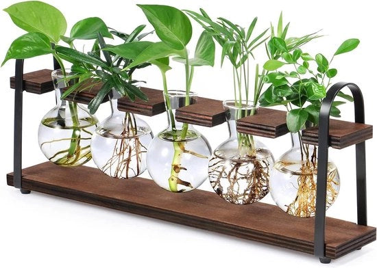 Stazioni di moltiplicazione delle piante - standard in legno - terrario a bolvaas per piante retro - coltivazione idroponica indoor - tavolo con piatto vetrato per piante - regali per l'arrivo in casa