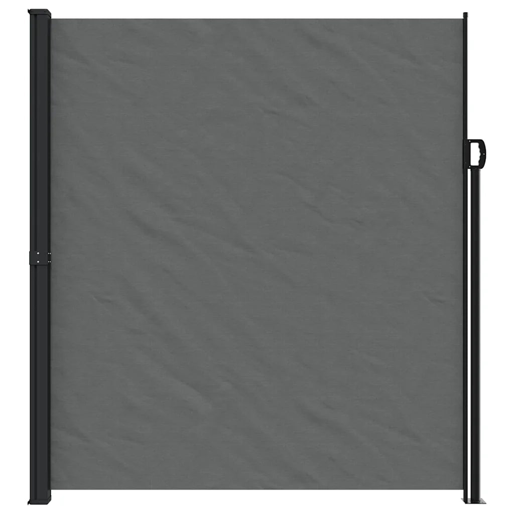 Tenda da sole laterale retrattile antracite 220x300 cm 4004383