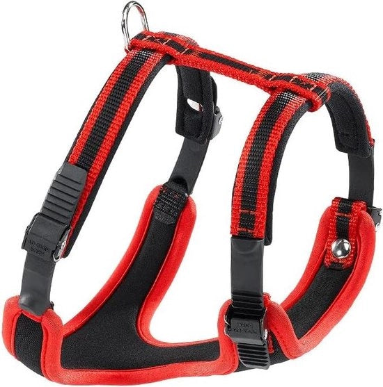 Cinturone per cani adattabile per piccoli cani - imbottito per il comfort - chiusura a micro-verstel doppia