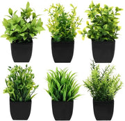 Collezione di 6 piante artificiali, piccole piante in vaso, piante finte, piante artificiali per camera da letto, bagno, cucina, casa, decorazione interna con vaso, piante artificiali (nero)