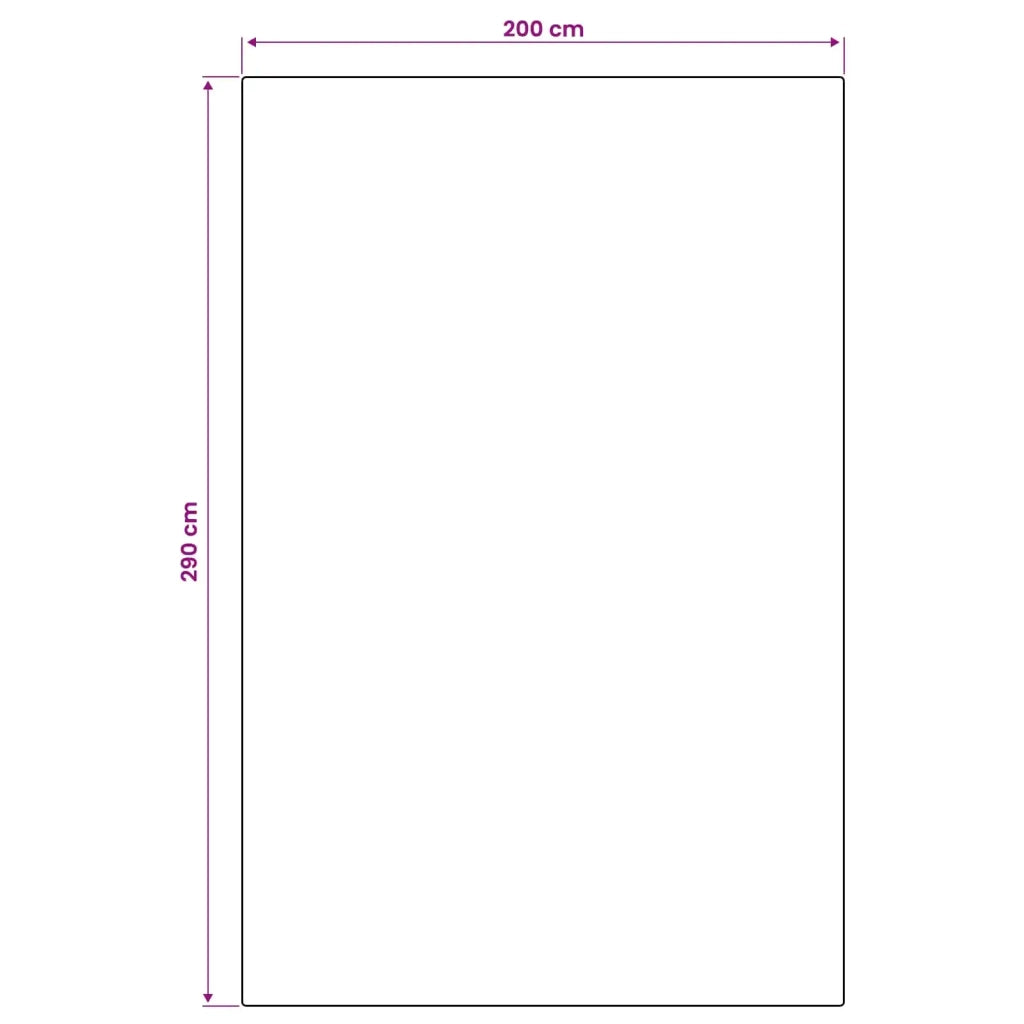 Tappeto da Area Naturale e Nero 200 x 290 cm PET 42043787