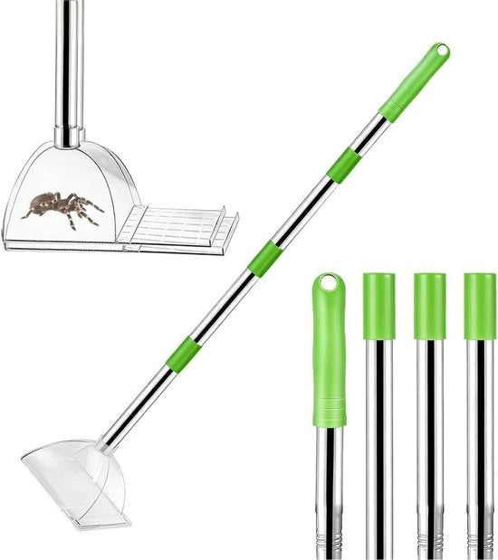 Polvere di insetti amichevole - 83cm Manubrio extra lungo - 4 posizioni regolabili Steel - Insetticida trasparente - Insetticida per soffitti e esterni - Verde
