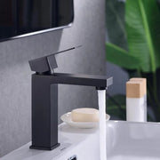 Acquisto di acqua Wastafelarmatura 195 mm acqua - rubinetto - acciaio inossidabile - miscelatore a una mano - tubi di acqua fredda e calda