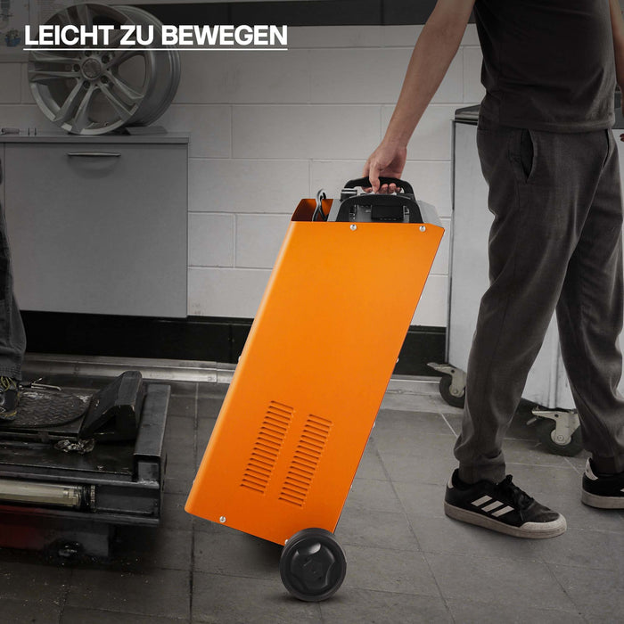 Caricabatterie 12V e 24V Boost 630 Caricatore per batterie piombo acido AGM