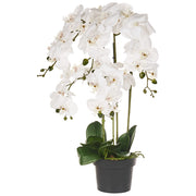 Pianta artificiale in vaso Materiale sintetico bianco e verde 63 cm Pianta orchidea Accessorio decorativo per interni