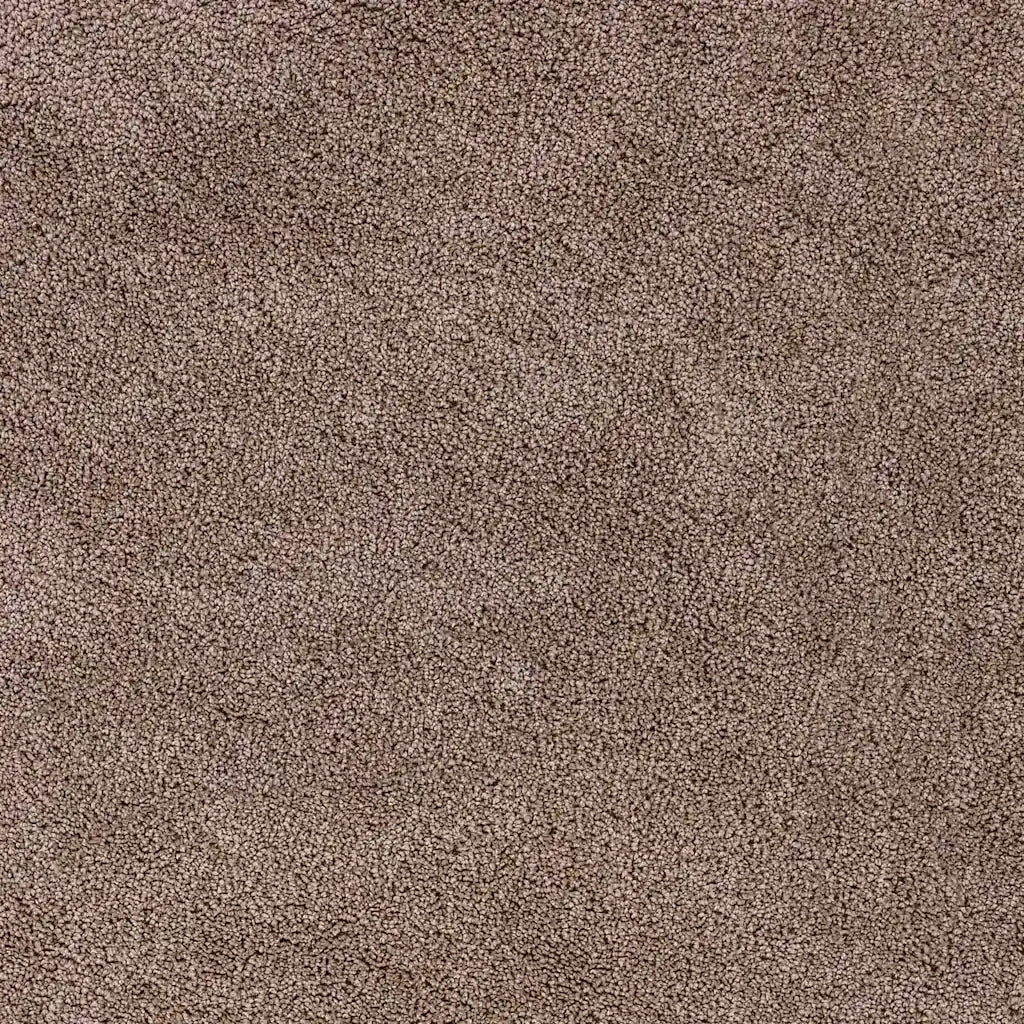 Tappeto Shaggy Antiscivolo Marrone 160 x 160 cm PP 4019801