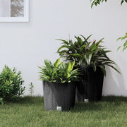 Fioriera con Interno Rimovibile Antracite 15 / 15,3 L PP Rattan 364684