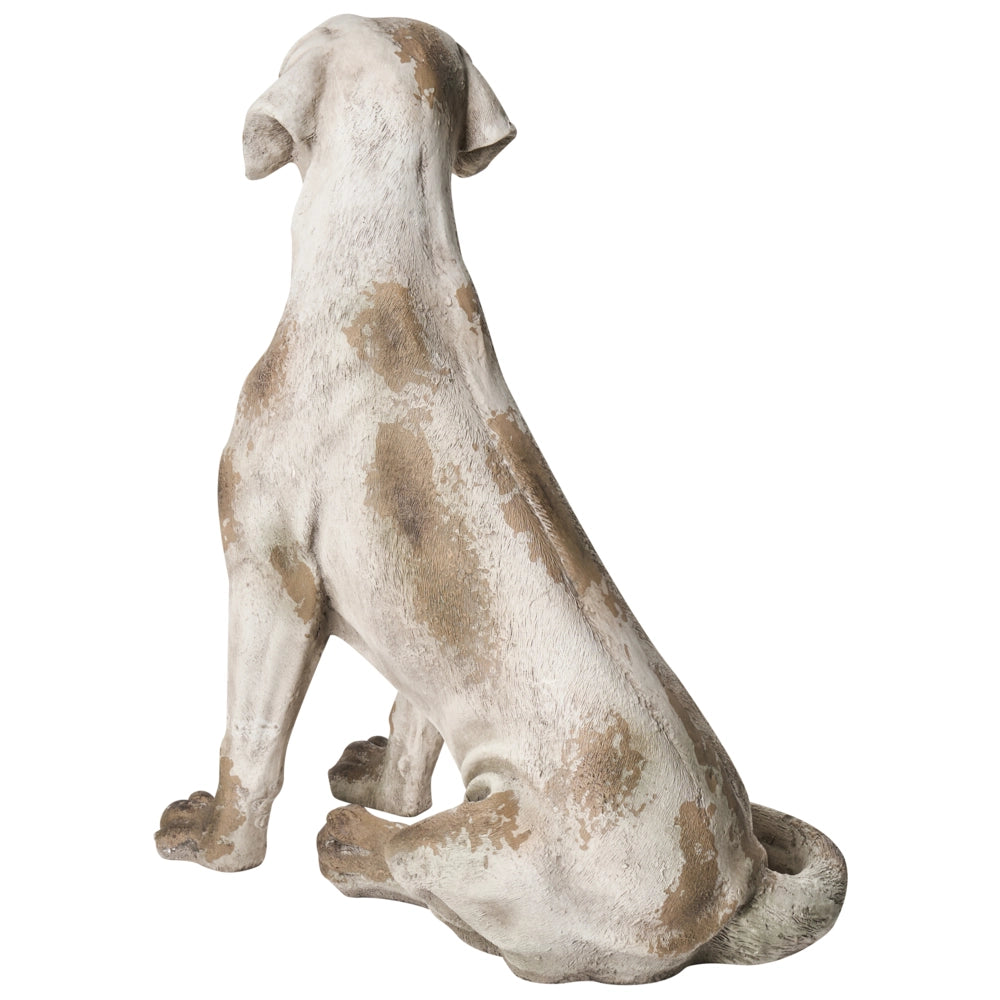Statuetta decorativa da giardino cane in MgO beige 42 x 50 x 70 cm elemento decorativo per giardino terrazza e patio