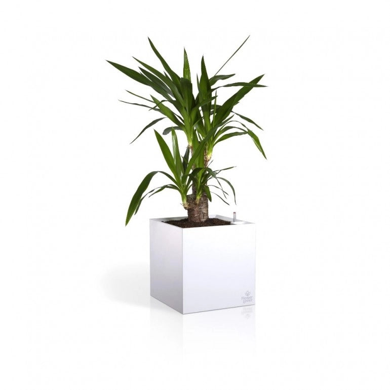 Vaso CUBICO 33x33x33 cm, con sistema di auto-irrigazione