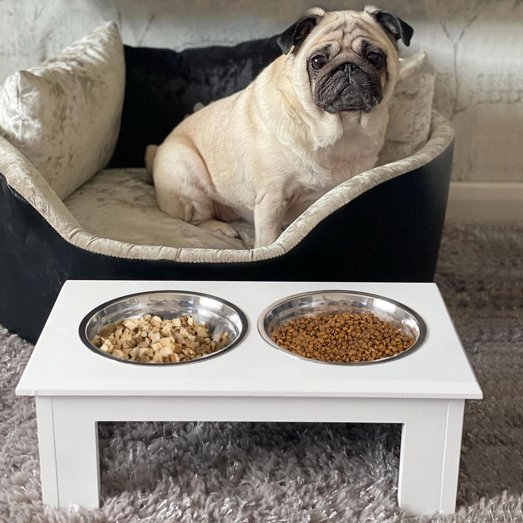 Mangiatoia per Cani con Ciotole in Acciaio Inossidabile ¨C zephmum ¨C 44x24x15 cm Bianco