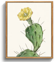 Disegno Botanico a Olio su Tela Premium - Cactus Opuntia - Decorazione per la Stanza da Bagno o Camera da Letto - Quadro di Alta Qualità con Cornice in Legno - Facile da Appendere - Arte per la Stanza